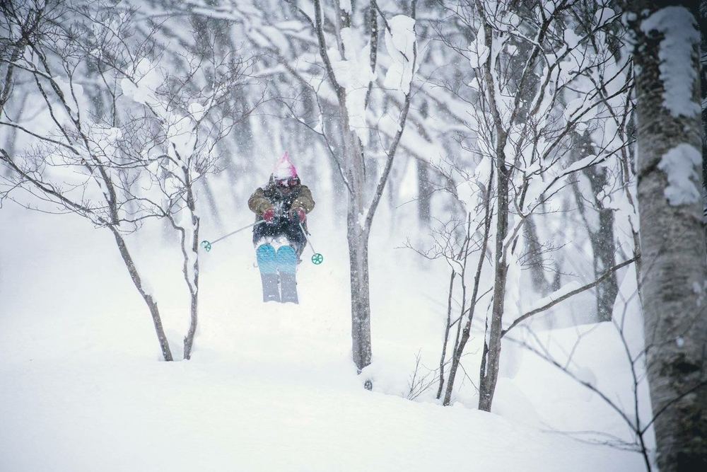 关温泉树林粉雪